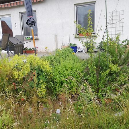 Ferienwohnung วิทเทนบวร์ก ภายนอก รูปภาพ